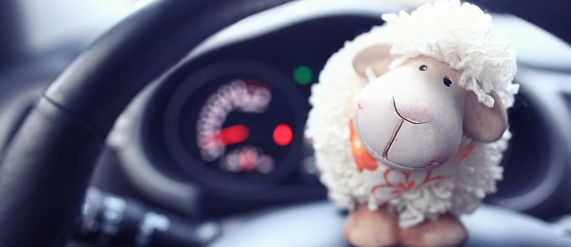 Avoid Sharp Objects and Animal Mascots